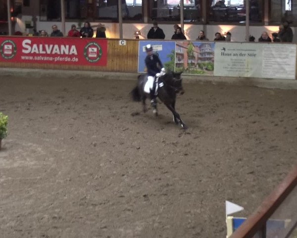 Reitturnier Stall Friedrichshulde, Sylva Kuhrt 2017