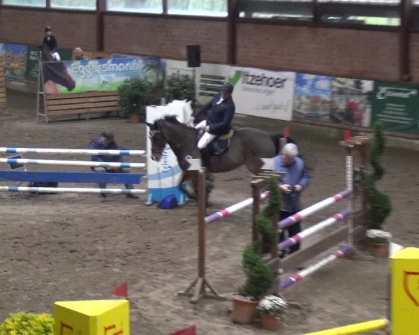 Reitturnier Stall Friedrichshulde, Sylva Kuhrt 2017