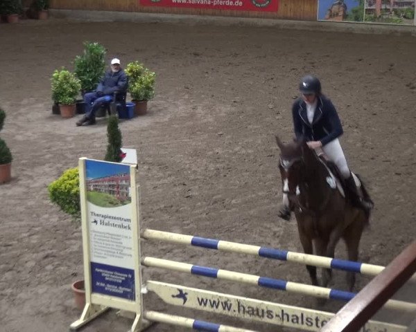 Reitturnier Stall Friedrichshulde, Sylva Kuhrt 2017