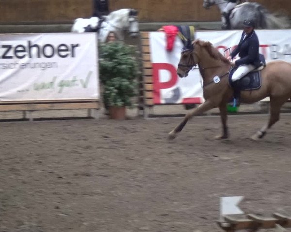 Reitturnier Stall Friedrichshulde, Sylva Kuhrt 2017