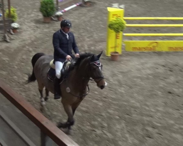 Reitturnier Stall Friedrichshulde, Sylva Kuhrt 2017