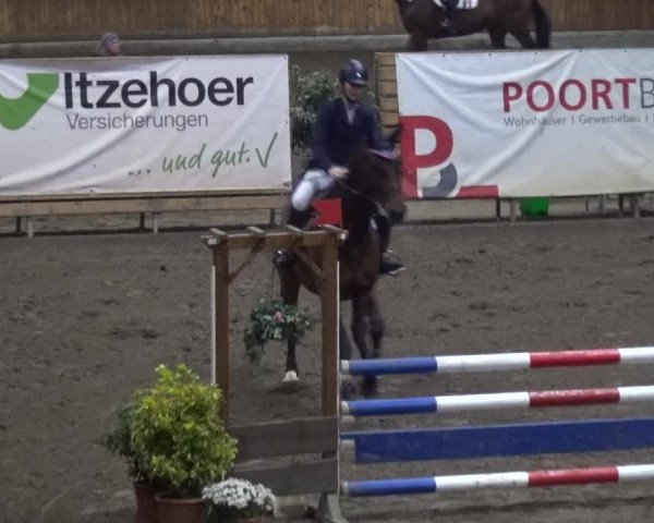 Reitturnier Stall Friedrichshulde, Sylva Kuhrt 2017