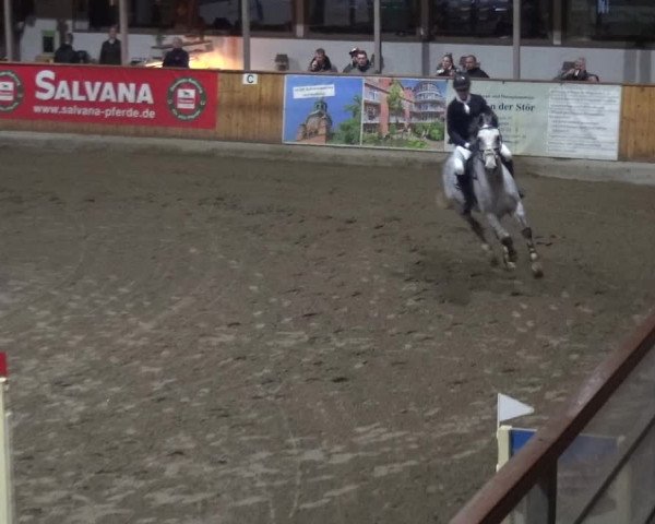Reitturnier Stall Friedrichshulde, Sylva Kuhrt 2017