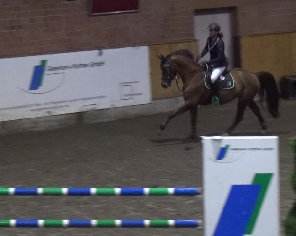 Reitturnier Stall Friedrichshulde, Sylva Kuhrt 2017