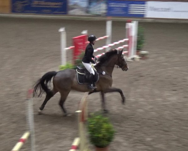 Reitturnier Stall Friedrichshulde, Sylva Kuhrt 2017
