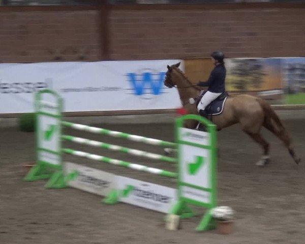 Reitturnier Stall Friedrichshulde, Sylva Kuhrt 2017