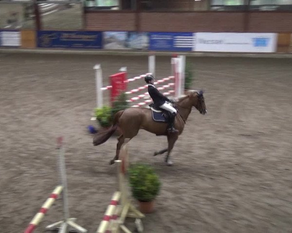 Reitturnier Stall Friedrichshulde, Sylva Kuhrt 2017