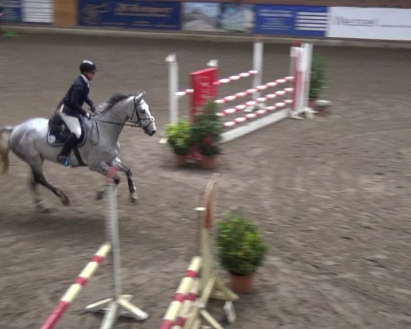 Reitturnier Stall Friedrichshulde, Sylva Kuhrt 2017