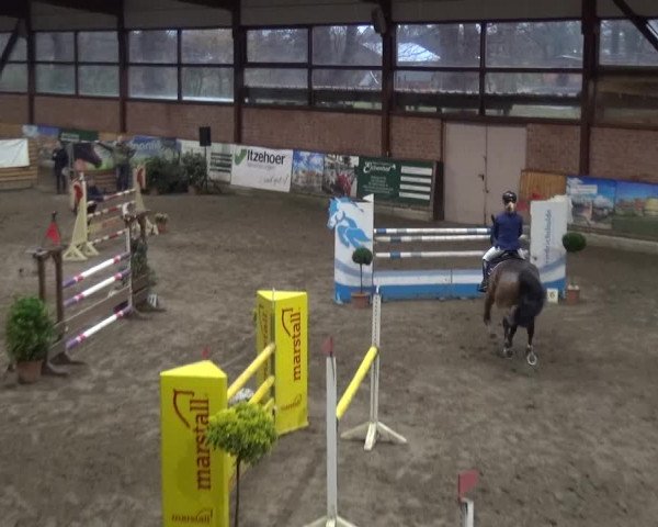 Reitturnier Stall Friedrichshulde, Sylva Kuhrt 2017