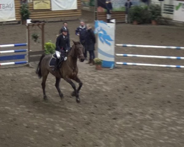 Reitturnier Stall Friedrichshulde, Sylva Kuhrt 2017