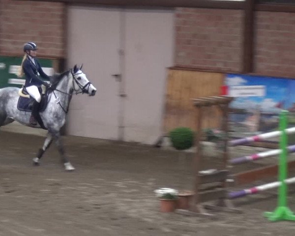 Reitturnier Stall Friedrichshulde, Sylva Kuhrt 2017