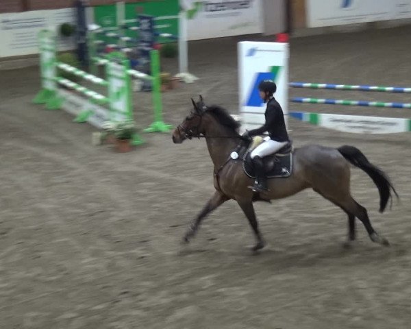 Reitturnier Stall Friedrichshulde, Sylva Kuhrt 2017