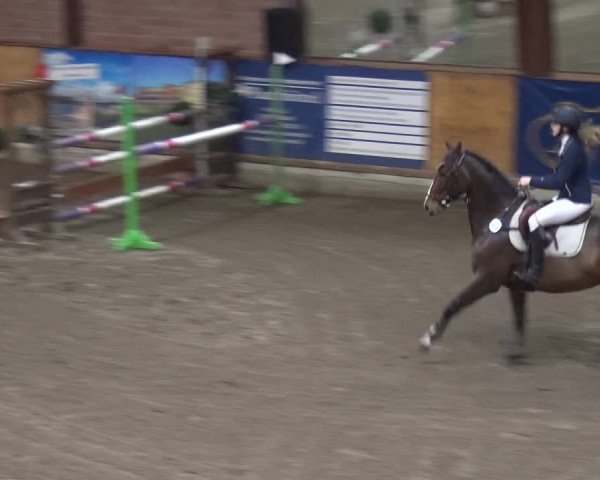 Reitturnier Stall Friedrichshulde, Sylva Kuhrt 2017