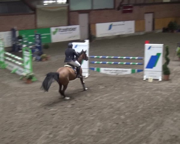 Reitturnier Stall Friedrichshulde, Sylva Kuhrt 2017