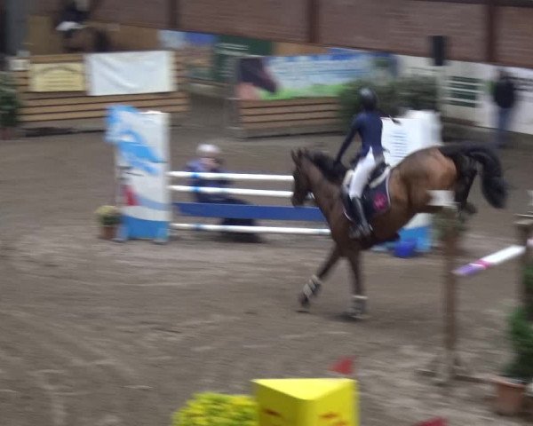 Reitturnier Stall Friedrichshulde, Sylva Kuhrt 2017
