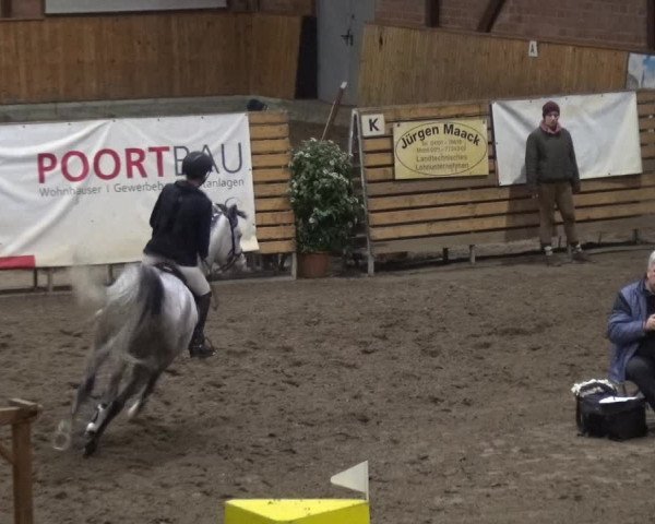 Reitturnier Stall Friedrichshulde, Sylva Kuhrt 2017