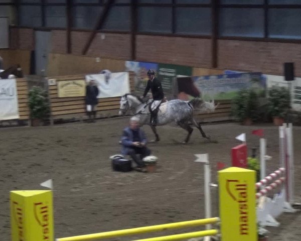 Reitturnier Stall Friedrichshulde, Sylva Kuhrt 2017