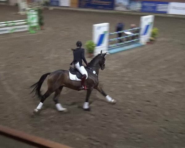 Reitturnier Stall Friedrichshulde, Sylva Kuhrt 2017