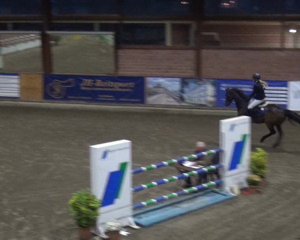 Reitturnier Stall Friedrichshulde, Sylva Kuhrt 2017