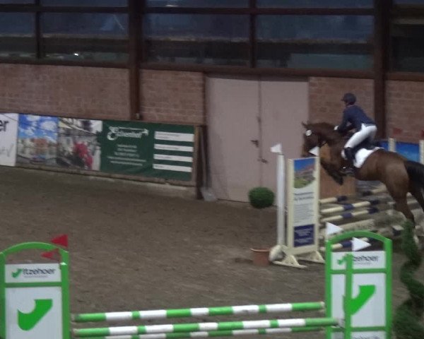 Reitturnier Stall Friedrichshulde, Sylva Kuhrt 2017