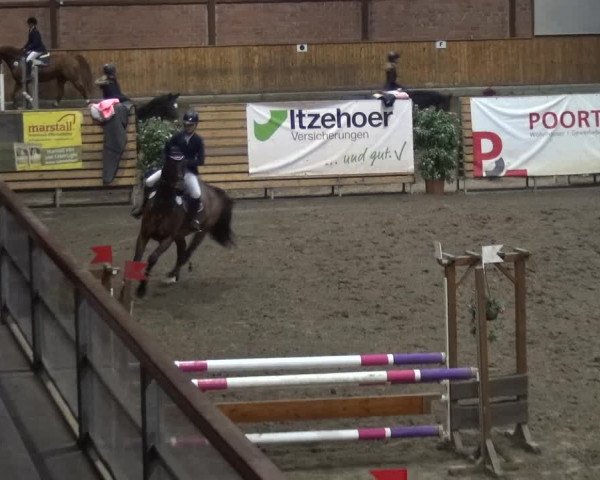 Reitturnier Stall Friedrichshulde, Sylva Kuhrt 2017