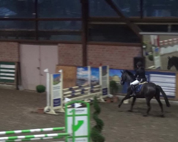 Reitturnier Stall Friedrichshulde, Sylva Kuhrt 2017