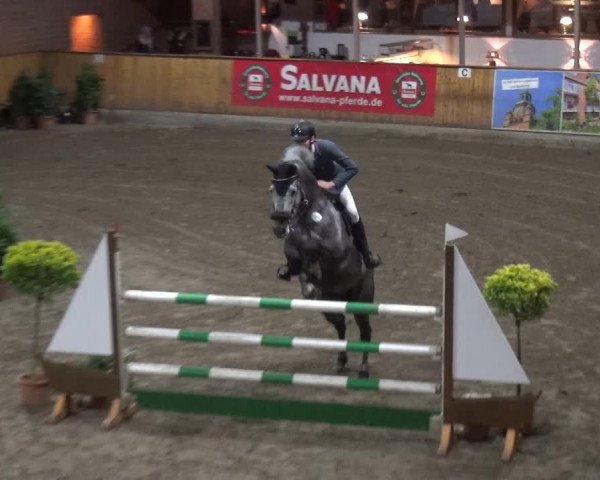 Reitturnier Stall Friedrichshulde, Sylva Kuhrt 2017