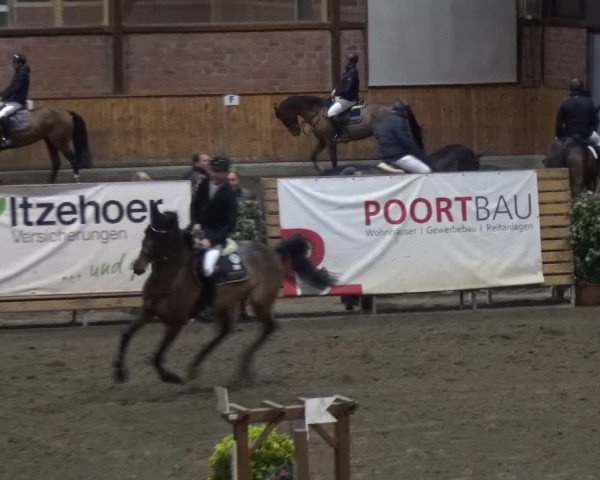 Reitturnier Stall Friedrichshulde, Sylva Kuhrt 2017