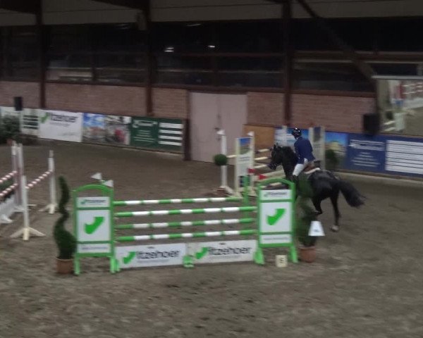 Reitturnier Stall Friedrichshulde, Sylva Kuhrt 2017