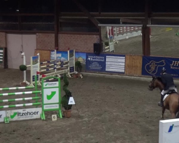 Reitturnier Stall Friedrichshulde, Sylva Kuhrt 2017