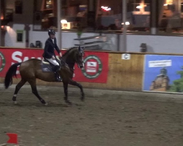 Reitturnier Stall Friedrichshulde, Sylva Kuhrt 2017