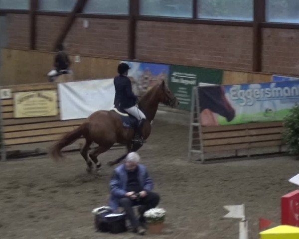 Reitturnier Stall Friedrichshulde, Sylva Kuhrt 2017