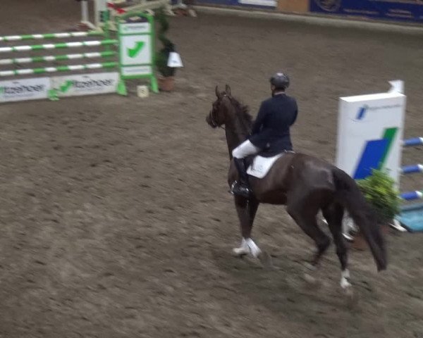 Reitturnier Stall Friedrichshulde, Sylva Kuhrt 2017