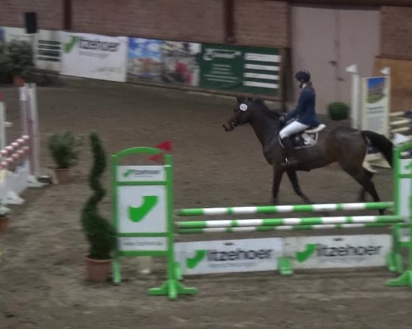 Reitturnier Stall Friedrichshulde, Sylva Kuhrt 2017
