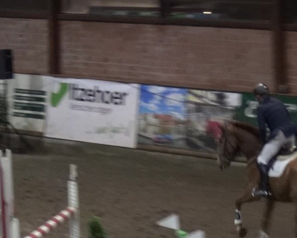 Reitturnier Stall Friedrichshulde, Sylva Kuhrt 2017