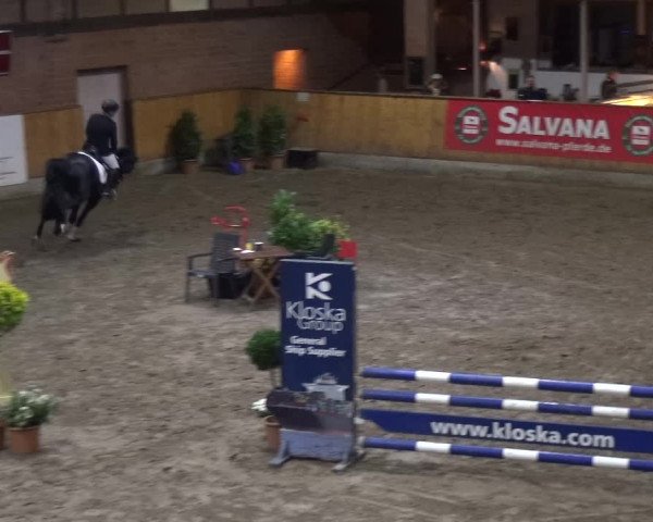 Reitturnier Stall Friedrichshulde, Sylva Kuhrt 2017