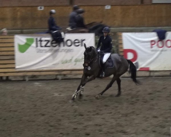 Reitturnier Stall Friedrichshulde, Sylva Kuhrt 2017