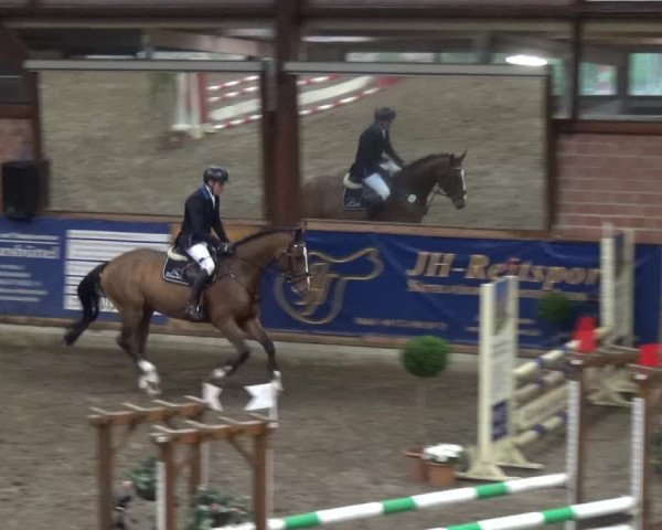 Reitturnier Stall Friedrichshulde, Sylva Kuhrt 2017