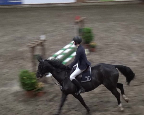 Reitturnier Stall Friedrichshulde, Sylva Kuhrt 2017