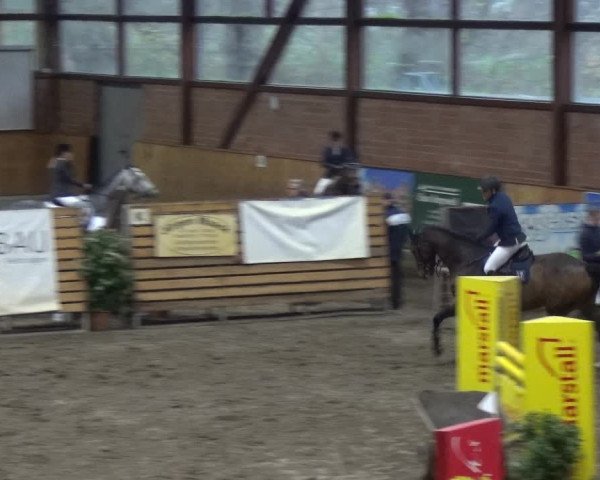 Reitturnier Stall Friedrichshulde, Sylva Kuhrt 2017