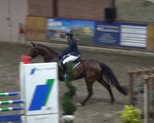 Reitturnier Stall Friedrichshulde, Sylva Kuhrt 2017