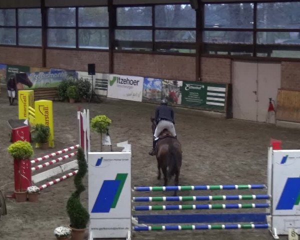 Reitturnier Stall Friedrichshulde, Sylva Kuhrt 2017