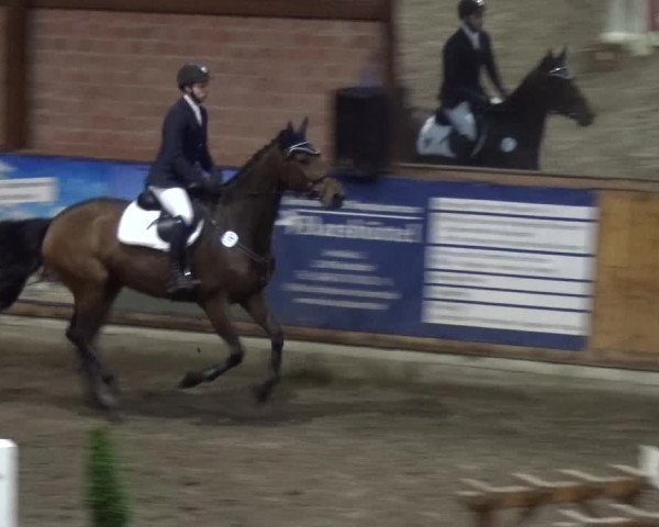 Reitturnier Stall Friedrichshulde, Sylva Kuhrt 2017