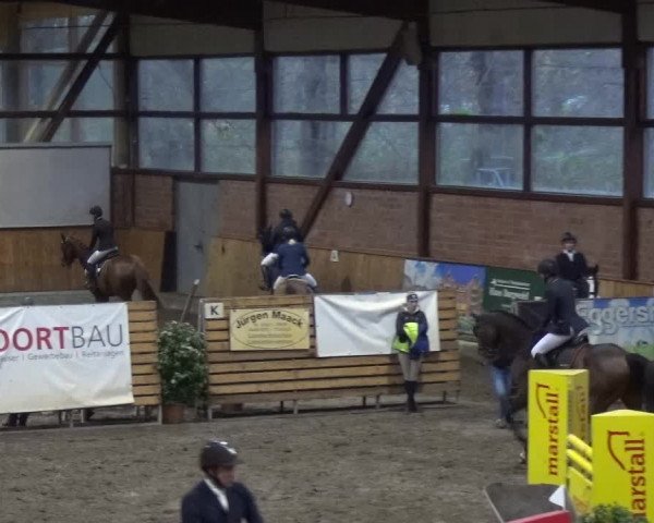Reitturnier Stall Friedrichshulde, Sylva Kuhrt 2017