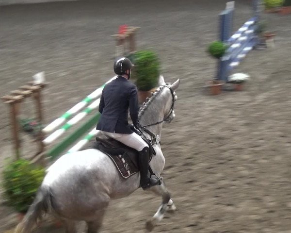 Reitturnier Stall Friedrichshulde, Sylva Kuhrt 2017