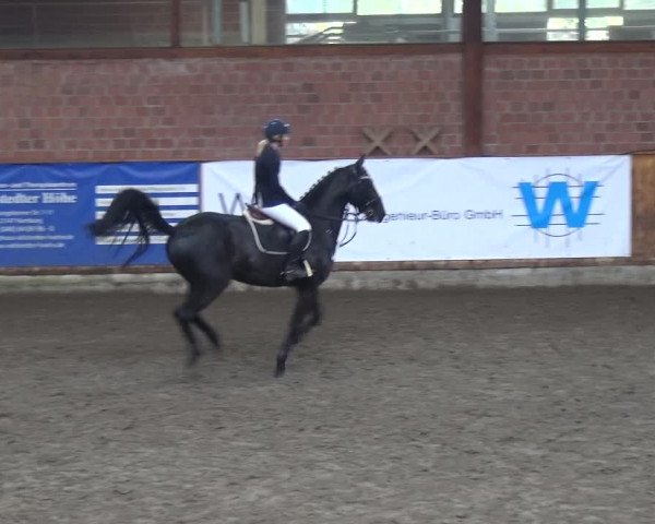 Reitturnier Stall Friedrichshulde, Sylva Kuhrt 2017