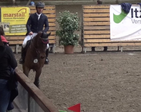 Reitturnier Stall Friedrichshulde, Sylva Kuhrt 2017