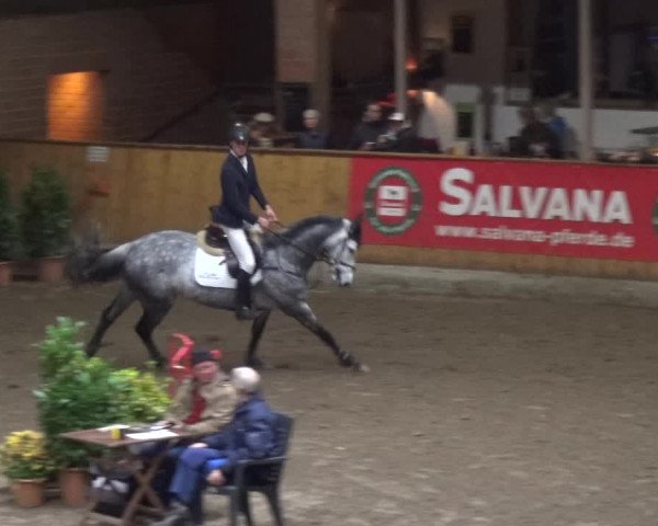 Reitturnier Stall Friedrichshulde, Sylva Kuhrt 2017
