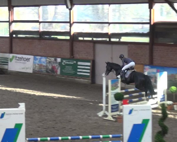 Reitturnier Stall Friedrichshulde, Sylva Kuhrt 2017