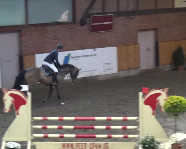 Reitturnier Stall Friedrichshulde, Sylva Kuhrt 2017